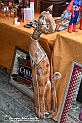 VBS_8160 - Mercatino dell'Antiquariato e dell'Hobbismo